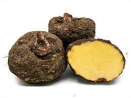 Elephant Foot Yam (சேனைக்கிழங்கு)